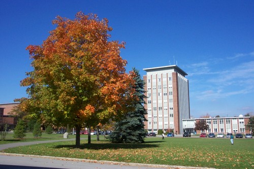 紐約州立大學賓漢姆頓大學Binghamton University SUNY