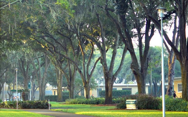Jacksonvile University  杰克遜維爾大學