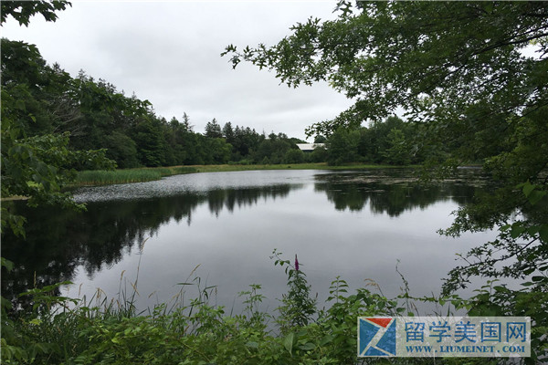 The Rectory School美國萊克里學(xué)校